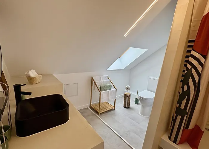 Saint Jo 公寓 科尔马